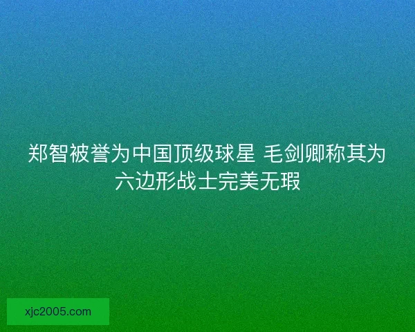 郑智被誉为中国顶级球星 毛剑卿称其为六边形战士完美无瑕