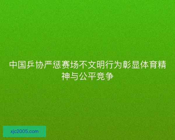 中国乒协严惩赛场不文明行为彰显体育精神与公平竞争